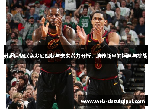 苏超后备联赛发展现状与未来潜力分析：培养新星的摇篮与挑战